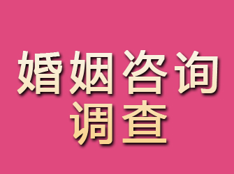 栖霞市婚姻咨询调查